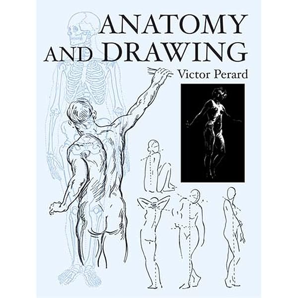 Amazon.com: A Handbook of Anatomy for Art Students (Dover Anatomy