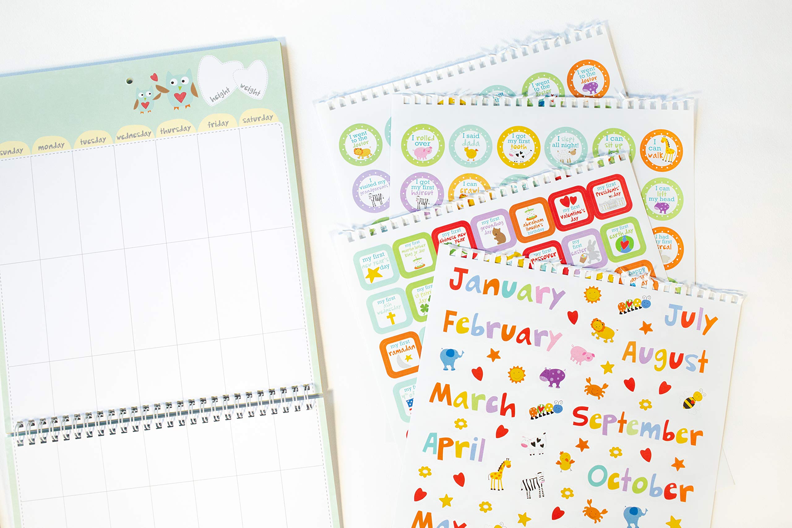 Baby's First Year: A Welcome Little One Keepsake, Memories Journal and Undated Monthly Calendar to Hang & Display (baby shower gifts for new parents) (Welcome Little One Baby Gift Collection)