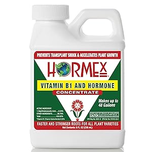 Hormex Vitamin B1 Rooting Hormone Concentrate | Prevents Transplant Shock | Accelerates Growth | Stimulates Roots | For All Plant Varieties and Grow Mediums Including Hydroponics (8 oz)