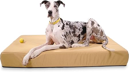 k9 beds amazon