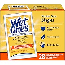 Wet Ones Hand Wipes, Plant Derived Wet Wipes 12 Count Travel Pack