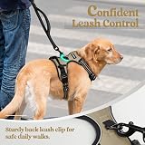 rabbitgoo Dog Harness Medium No Pull 2 Leash Clips Reflective Adjustable view 7