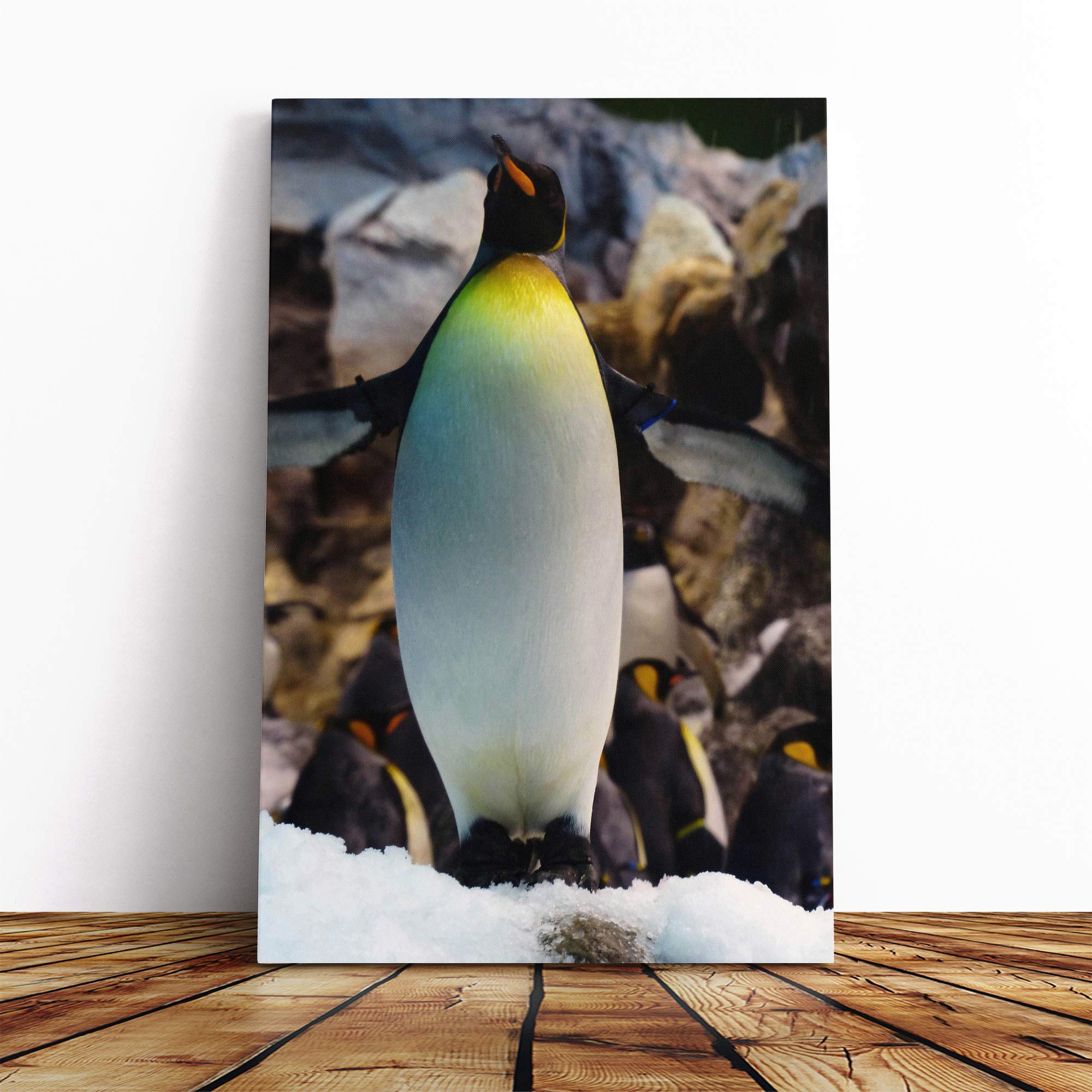 King Penguin Canvas Print | Gallery Wrapped 30mm Frame Wall Art | 20x14 inches | Ready to Hang | Modern Animals Picture | Living Room Bedroom Lounge Office