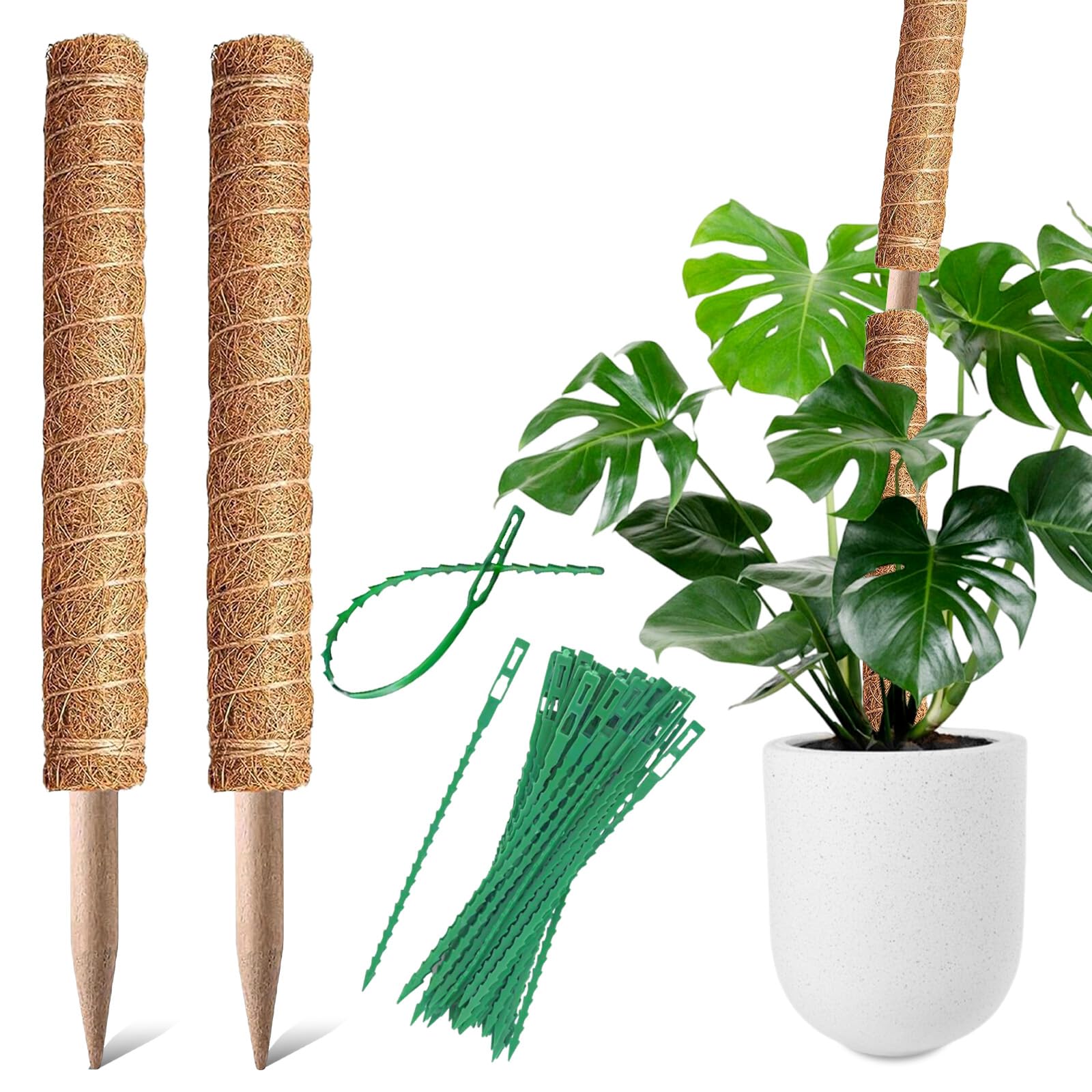 BECHOICEN Moss Pole, 2Pcs Coir Totem Pole Plant Support Totem Pole Moss Pole for House Plants Moss Sticks for Cheese Plant with 20 Pieces Garden Cable Ties,19.6inch