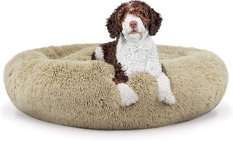 best dog bed with removable cover