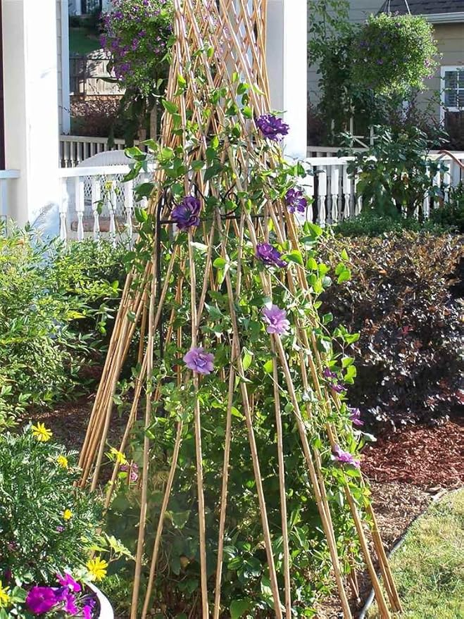Outdoor Flower Supports Teepee Style w Genuine Bamboo