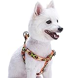 Blueberry Pet 2 Colors Soft & Comfy Step-in