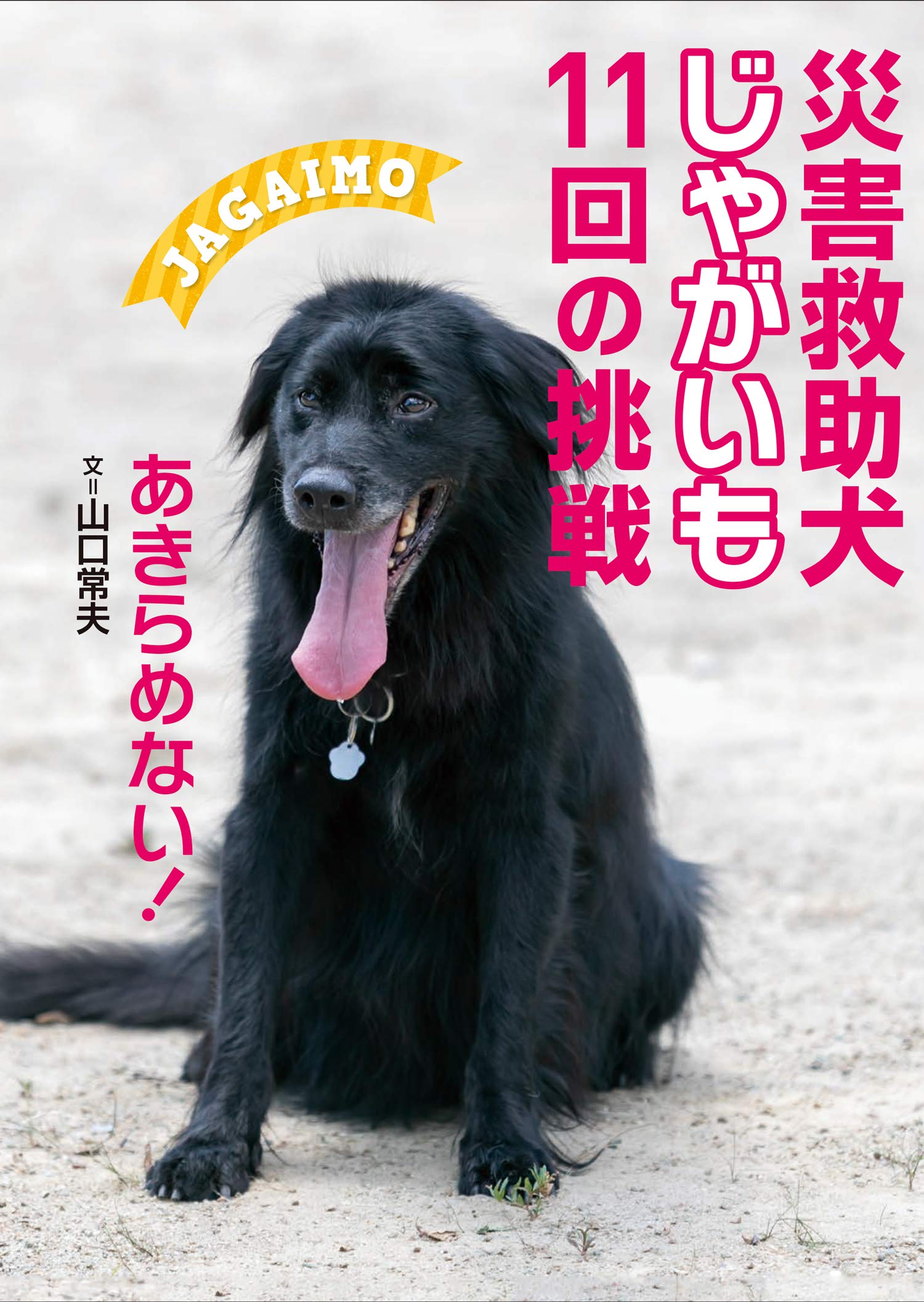 災害救助犬じゃがいも 11回の挑戦 あきらめない 常夫 山口 本 通販 Amazon