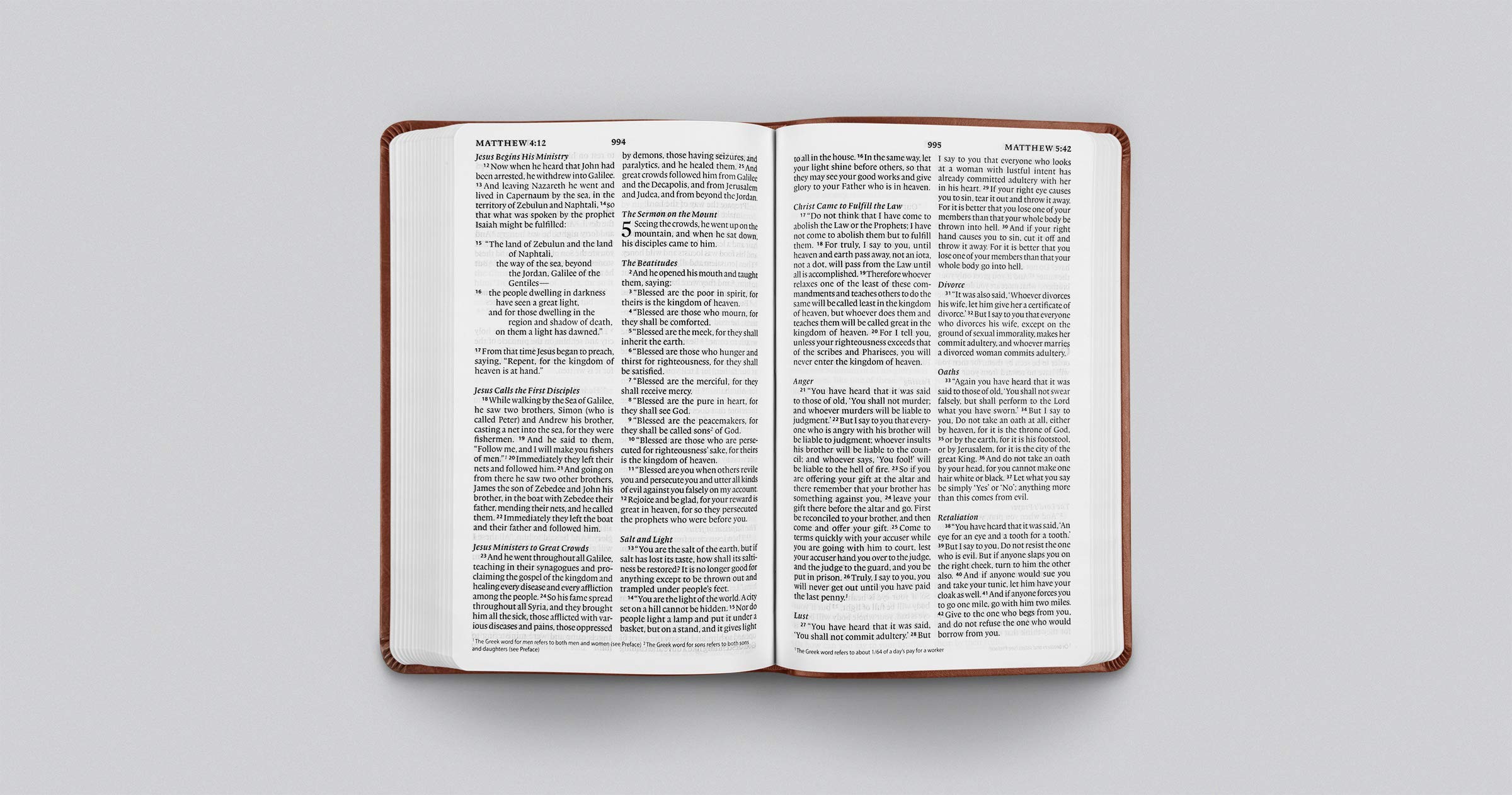 ESV Large Print Value Thinline Bible (TruTone, Tan, Ornament Design)