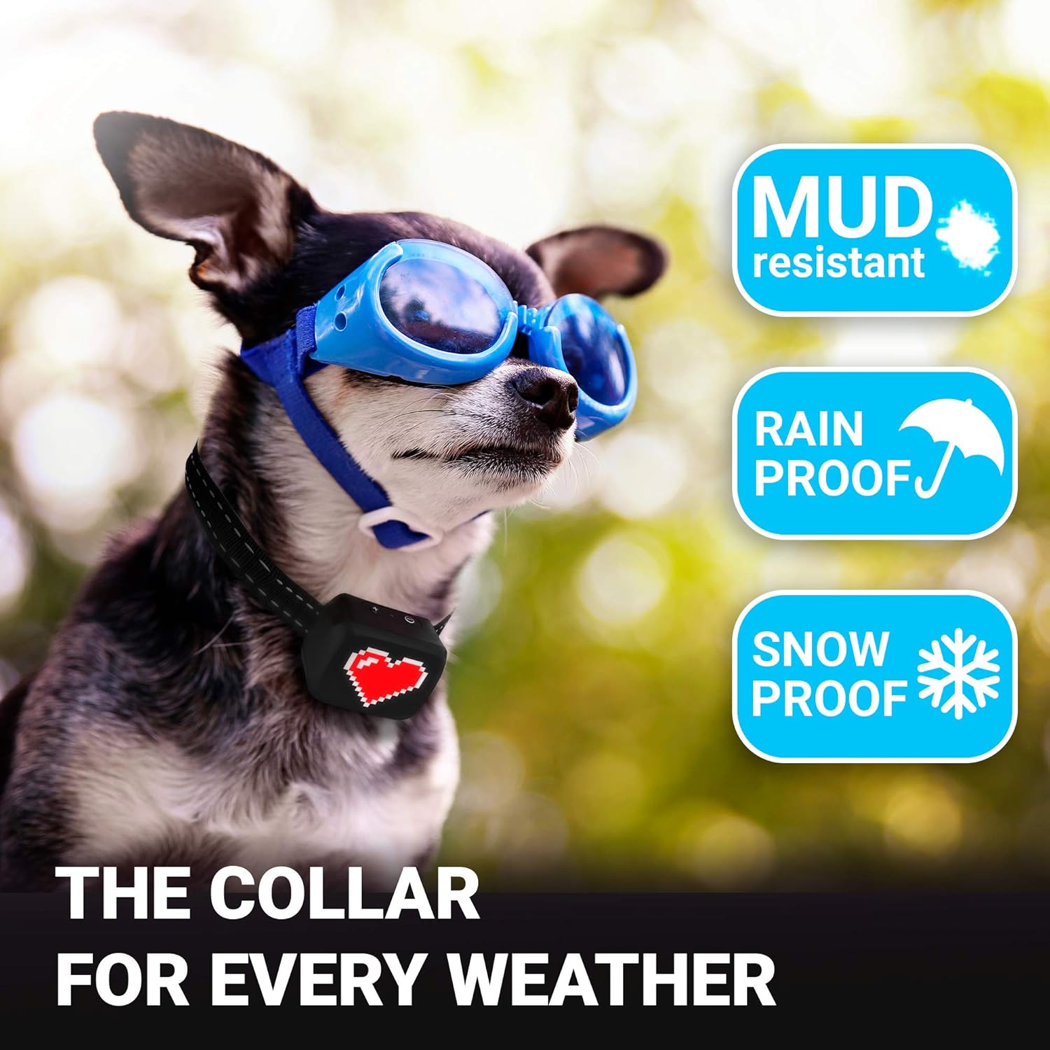 Small Dog Bark Collar Rechargeable - Anti Barking Collar For Small Dogs - Smallest Most Humane Stop Barking Collar - Dog Training No Shock Bark Collar Waterproof - Safe Pet Bark Control Device : Pet Supplies