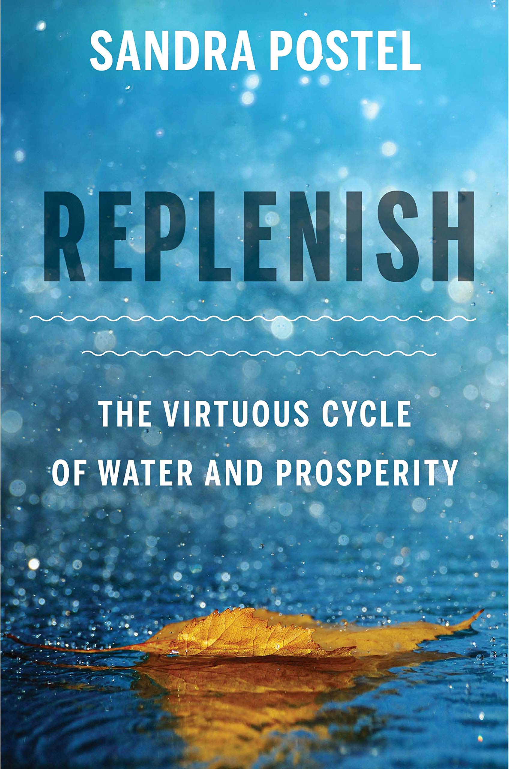 Replenish : the virtuous cycle of water and prosperity