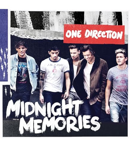 Amazon.com: Hot Stuff Enterprise Z145-24x36-NA One Direction