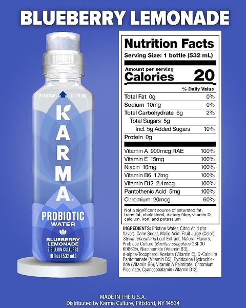 KARMA PROBIOTIC WATER – 12 PACK, BLUEBERRY LEMONADE DRINK – IMMUNE & GUT HEALTH SUPPORT