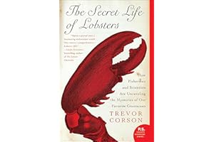 The Secret Life of Lobsters: How Fishermen and Scientists Are Unraveling the Mysteries of Our Favorite Crustacean