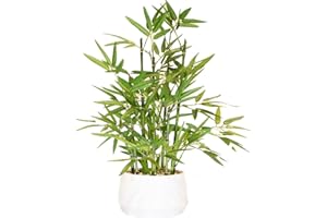 365 Blooming Decor 18 inch Tall White Potted Faux Bamboo Plant- Luxury Artificial Bamboo Tree in White Pot for Home, Office, 