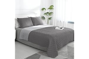 Easy-Going Full/Queen Size Reversible Quilt Set with 1 Quilt and 2 Pillow Shams, Soft Bed Quilt Cover, Lightweight Microfiber Bedspread, Water and Stain Resistant, Gray/Light Gray