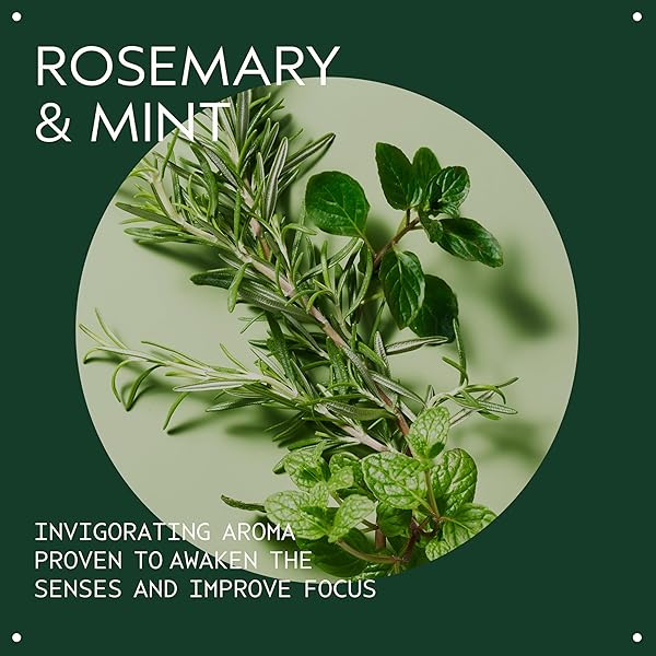 AVEDA ROSEMARY MINT HAND & BODY WASH | LIQUID HAND SOAP AND BODY WASH | WITH INVIGORATING AROMA OF CERTIFIED ORGANIC PEPPERMINT & ROSEMARY, 8.5 FL OZ