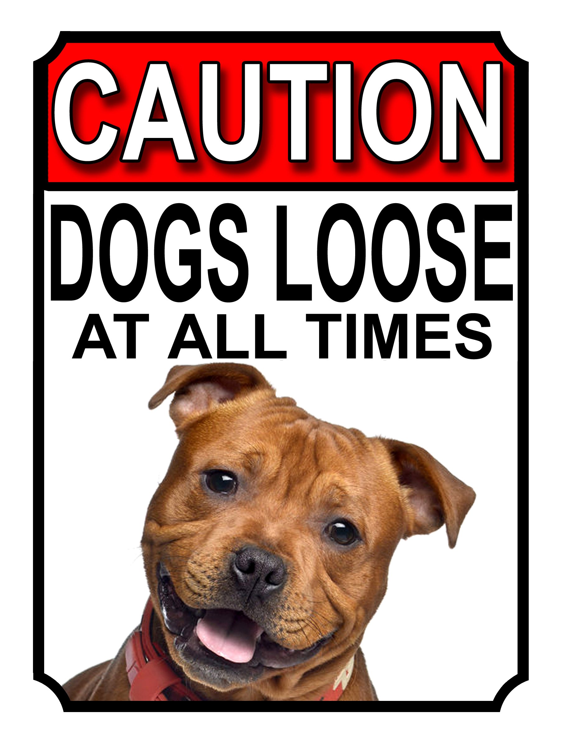 CAUTION DOGS LOOSE AT ALL TIMES METAL GATE SIGN STAFFORDSHIRE BULL TERRIER 200MM X 150MM (1222H1) — image 1