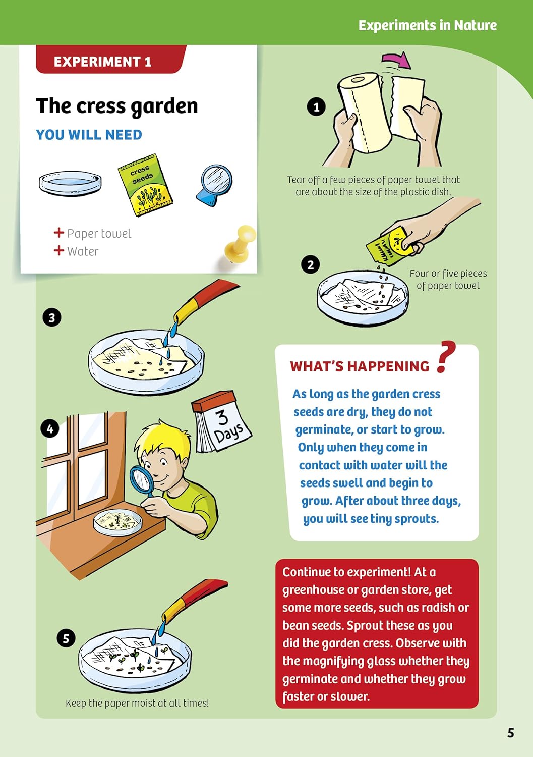 stepping into science kit
