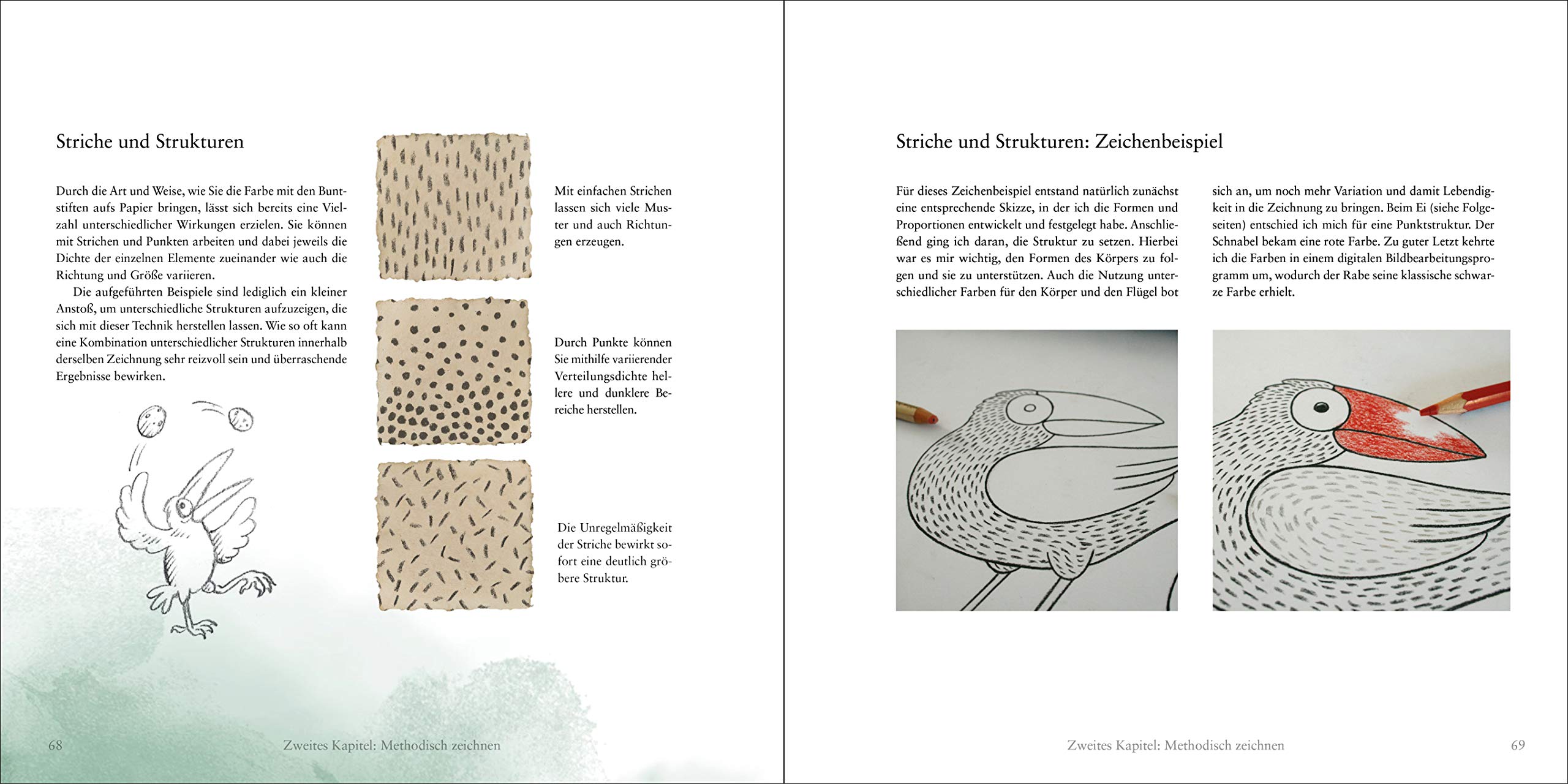 Buntstiftvogel Die Gefiederte Zeichenschule Fur Einsteiger Und Fortgeschrittene Amazon De Frick Florian Bucher