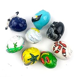 Worlds 8PC Assorted Dyed Painted Hermit Crab Shells