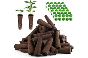 60 Grow Sponges, Seed Pod Sponge for Hydroponics Growing System, Refill Grow Seed Pods Compatible with AeroGarden, Replacemen