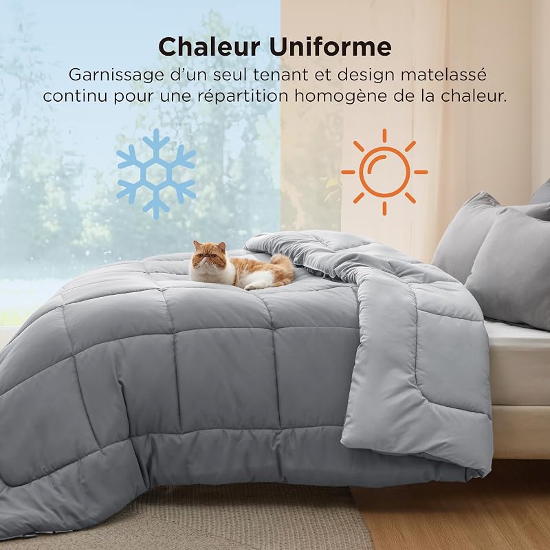 Couette 220x240 4 Saisons - Couette sans Housse 300g/m²