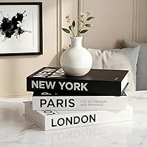 ZEMRTWAY 3 Pieces Decorative Books, Faux Books with Hidden Storage