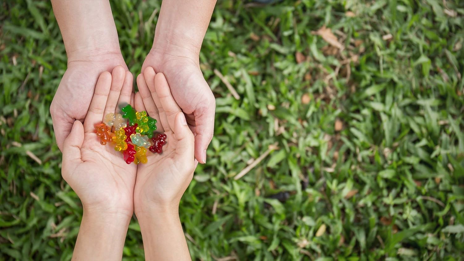 Black Forest Gummy Bears Candy, 6 Lb : Grocery & Gourmet Food