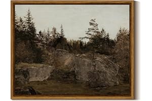 InSimSea Framed Canvas Wall Art Landscape Deocr Forests Rocks Vintage Botanical Wall Art Prints Decor Vintage Farmhouse Decor Cottagecore Bedroom Bathroom Office Decor 8x10in