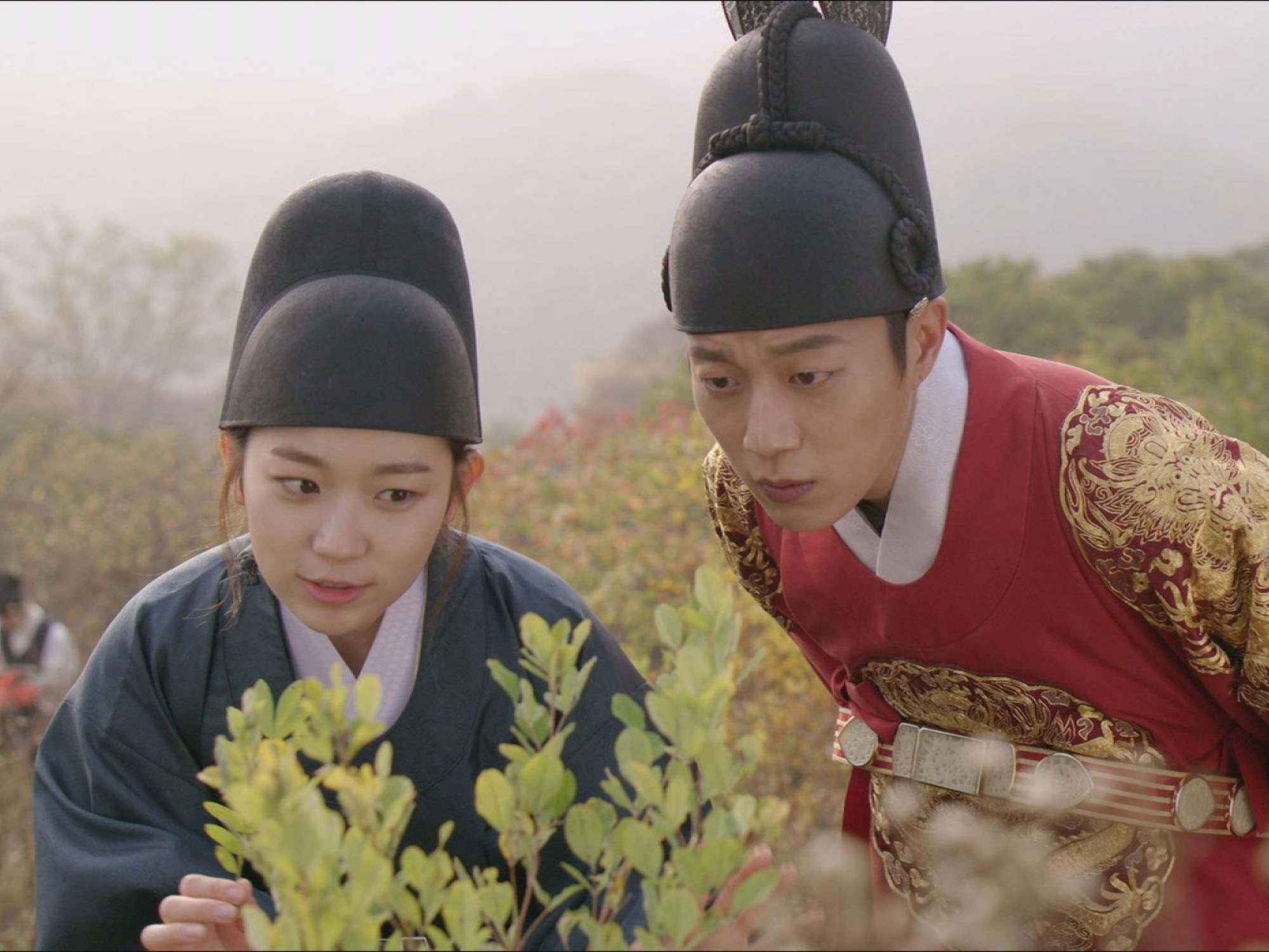 Amazon Co Jp ポンダンポンダン 王様の恋を観る Prime Video