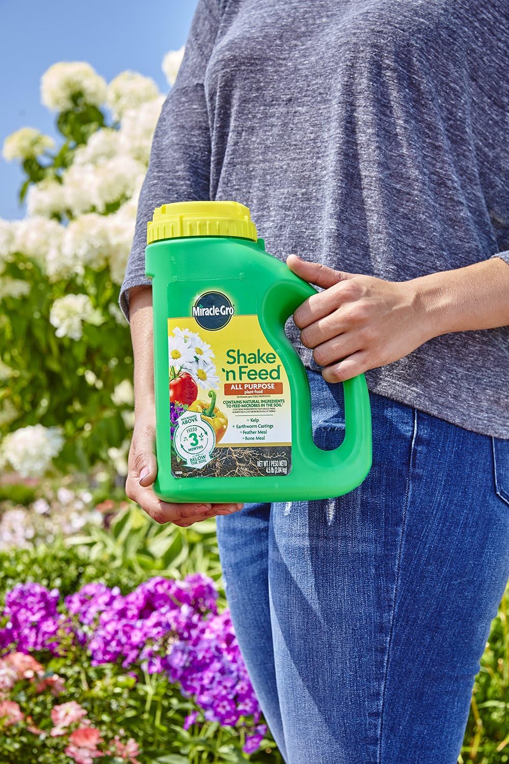 Miracle-Gro Shake 'N Feed All Purpose Plant Food, 4.5 lb. : Garden & Outdoor
