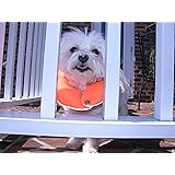 puppy bumpers australia