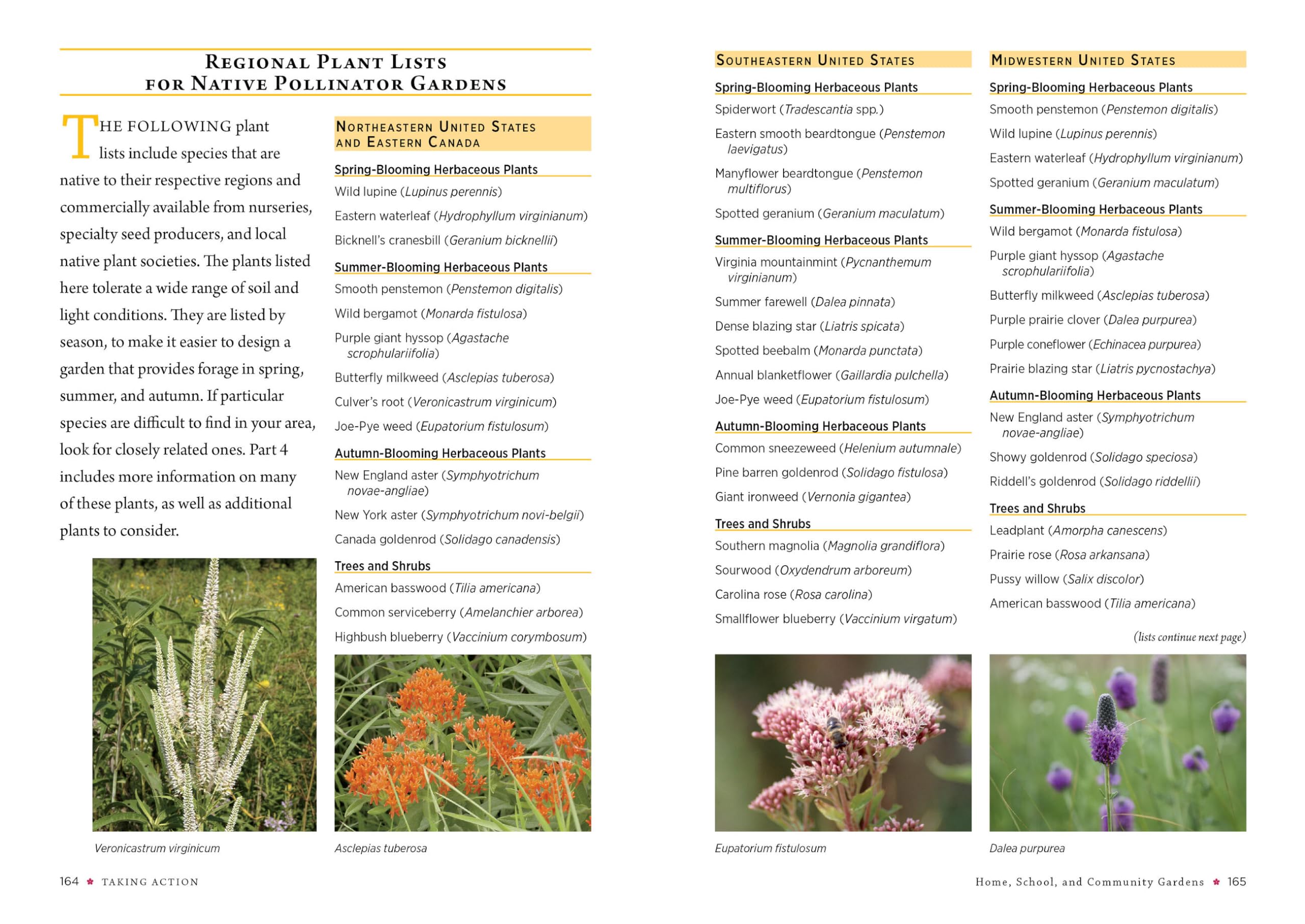 Attracting Native Pollinators: The Xerces Society Guide, Protecting North America's Bees and Butterflies
