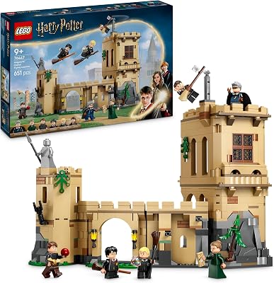 Harry Potter Castello di Hogwarts: Lezioni di volo 76447