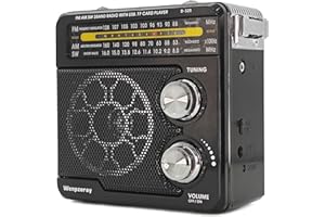 Wenpzeray D329 Portable AM FM SW Radio Vintage Transistor BT Speaker Support USB/TF Card AC Power Battery Operated with LED Torch and Earphone Jack for Home or Outdoor Great for Family (Black)