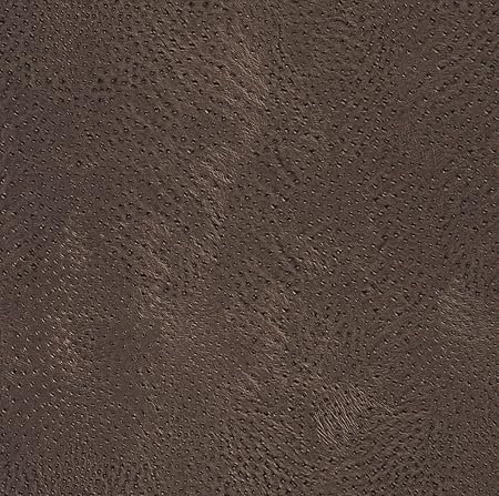Avoir Images Papier Peint Marron Cuivre Autruche Amazon Fr Bricolage le plus cool par