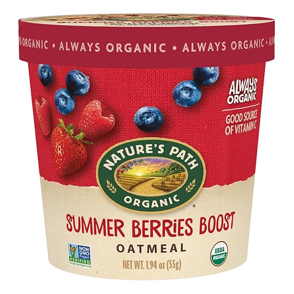 NATURE’S PATH ORGANIC SUMMER BERRIES BOOST INSTANT OATMEAL,...