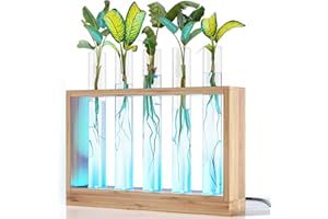 PLANTERS' CHOICE Light Up Bamboo Vial Air Planter - Plant Lover Easter Gifts for Women, Best Indoor Gardening House Warming Gift Ideas, Office New Home Decor, Mom, Grandma, Mothers Day, Friend, Birthday, Garden Plants