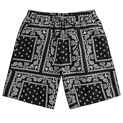 DIOTSR Mens Paisley Casual Shorts Retro Graphic