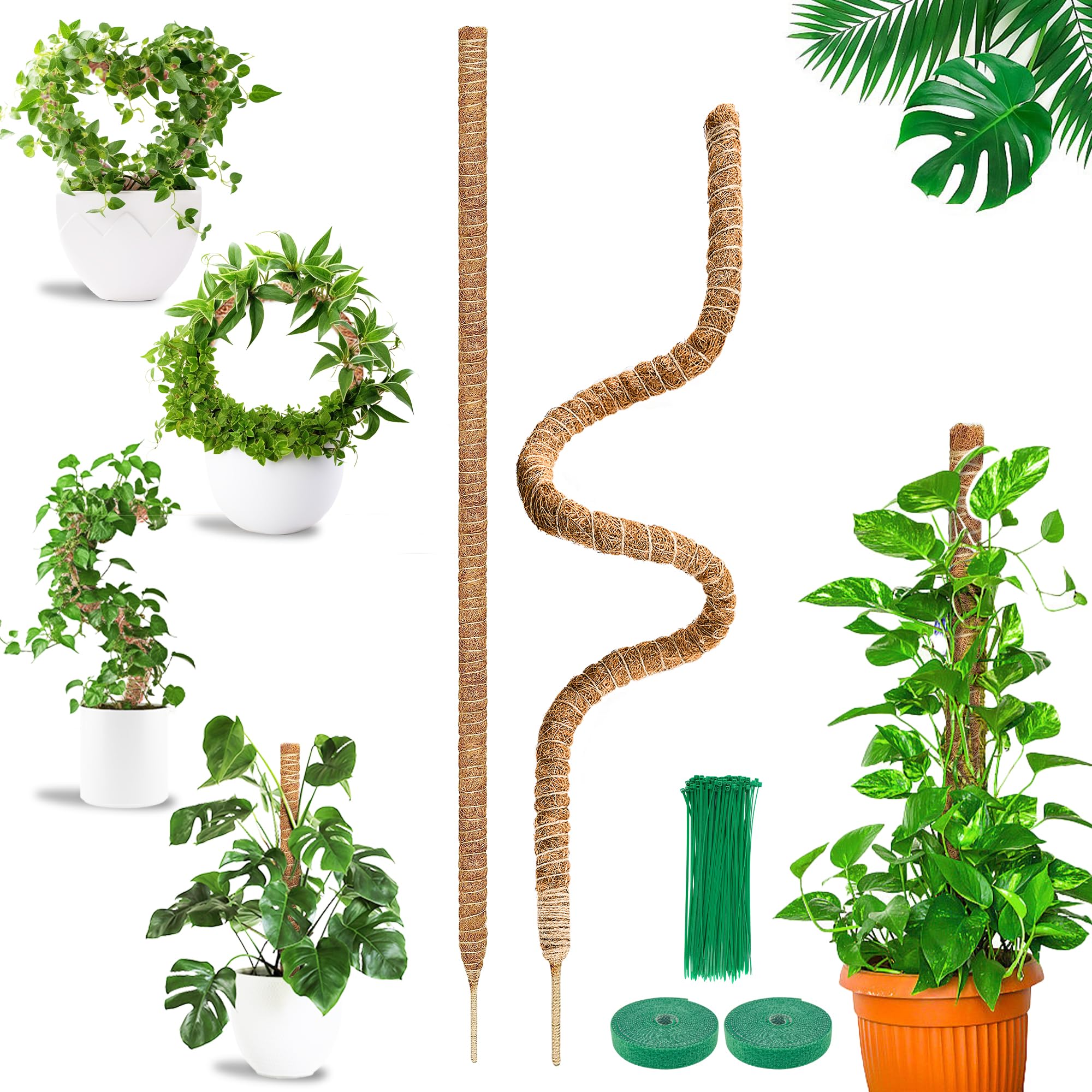 COZCLAM 2Pcs 63'' Moss Pole for Monstera, Bendable Cheese Plant Support pole, Coco Coir Pole for Indoor Climbing Plants, Monstera Support, Plant Sticks Support for Creeper Plants Grow Upwards