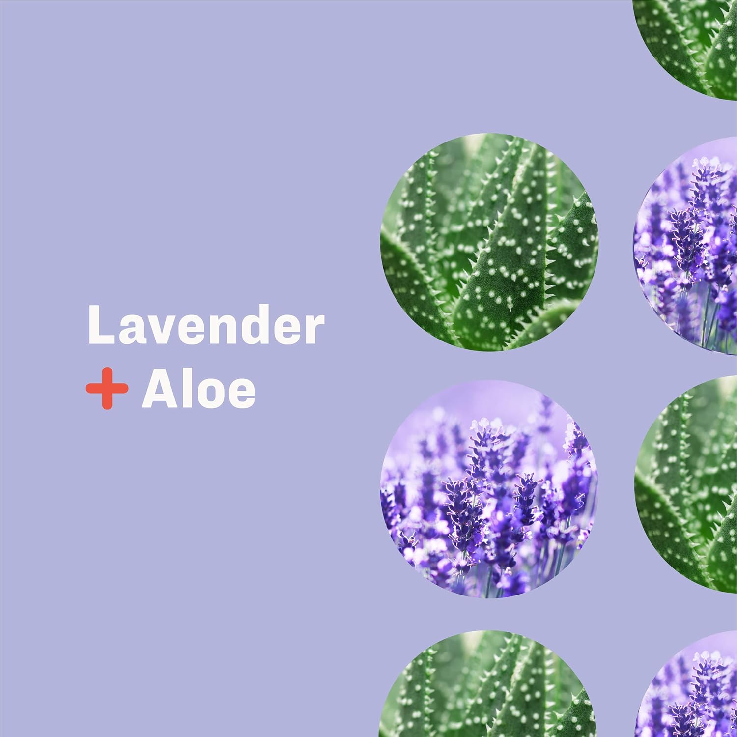 Everyone 3-in-1 Soap: Shampoo, Body Wash, and Bubble Bath, Lavender and Aloe, 32 Ounce, 2 Count : Beauty