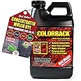 COLORBACK Red Mulch Dye, 6,400 Square Feet Coverage – Mulch Colorant for Landscaping & Garden Beds, Wood Mulch Dye, Mulch Color Restorer & Playground Bark Mulch, Eco-Friendly Mulch Paint – 1/2-Gallon Red