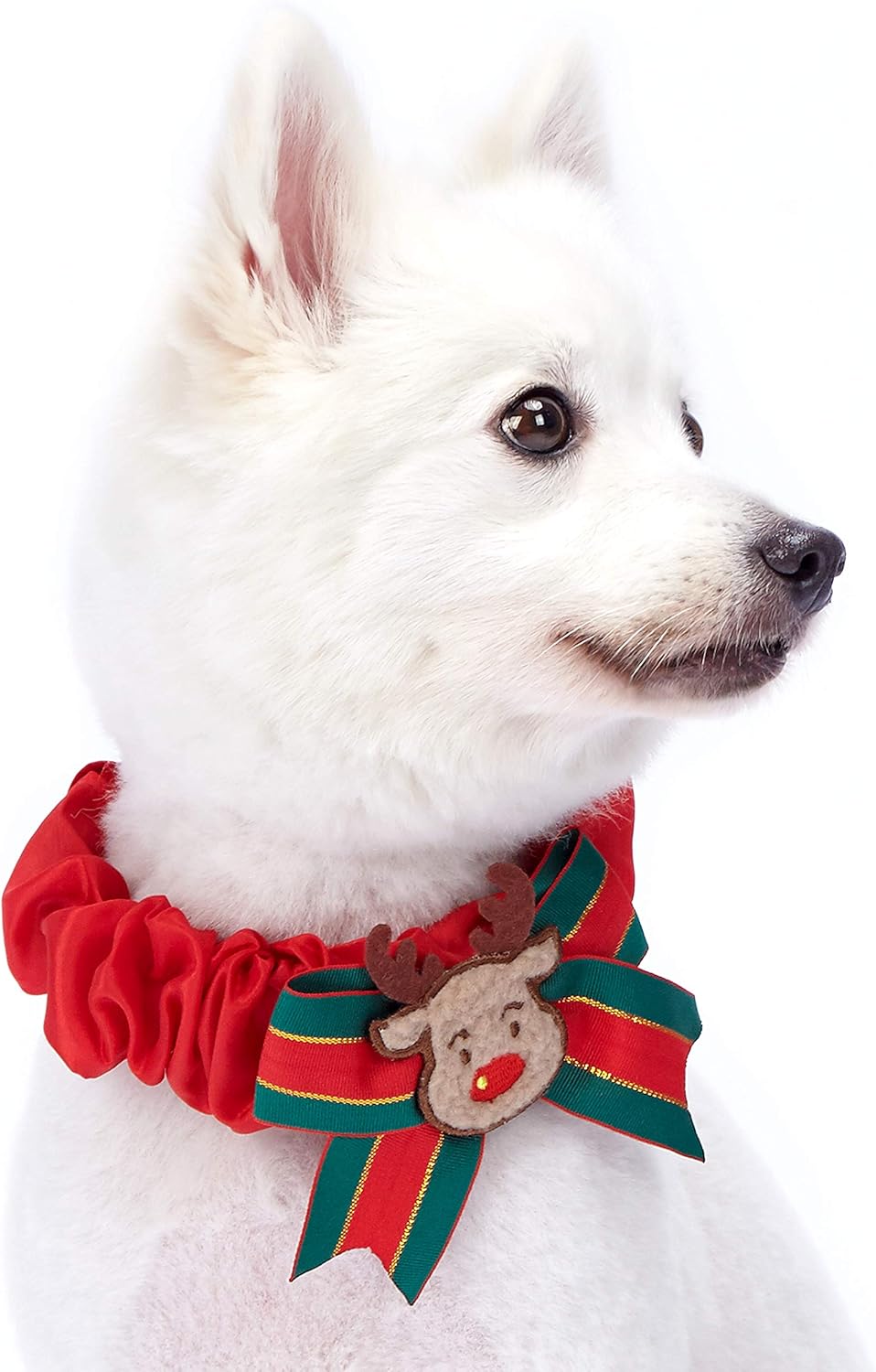 christmas dog collars amazon