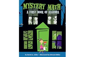 Mystery Math: A First Book of Algebra