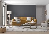 Dulux Simply Refresh Cannon Ball Matt Emulsion Paint 1.25 L One Coat view 5