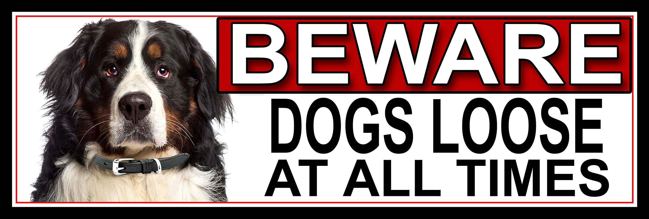 SHAWPRINT Bernese Mountain Dog BEWARE DOGS LOOSE AT ALL TIMES METAL GATE SIGN 266mm x 87mm. (365H2)