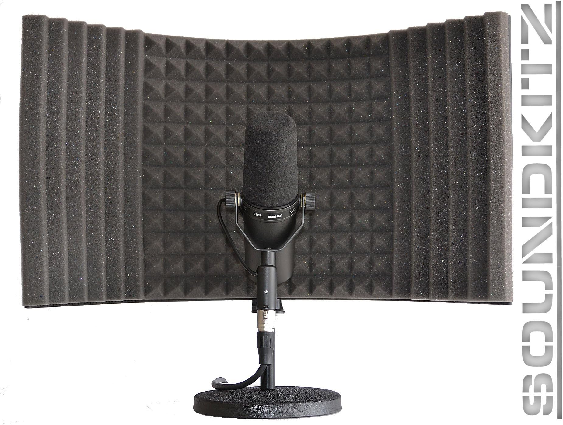 AE-F Vocal Recording Microphone Acoustic System for Music/Singing/Voice-Over/Instrument Sound Recording