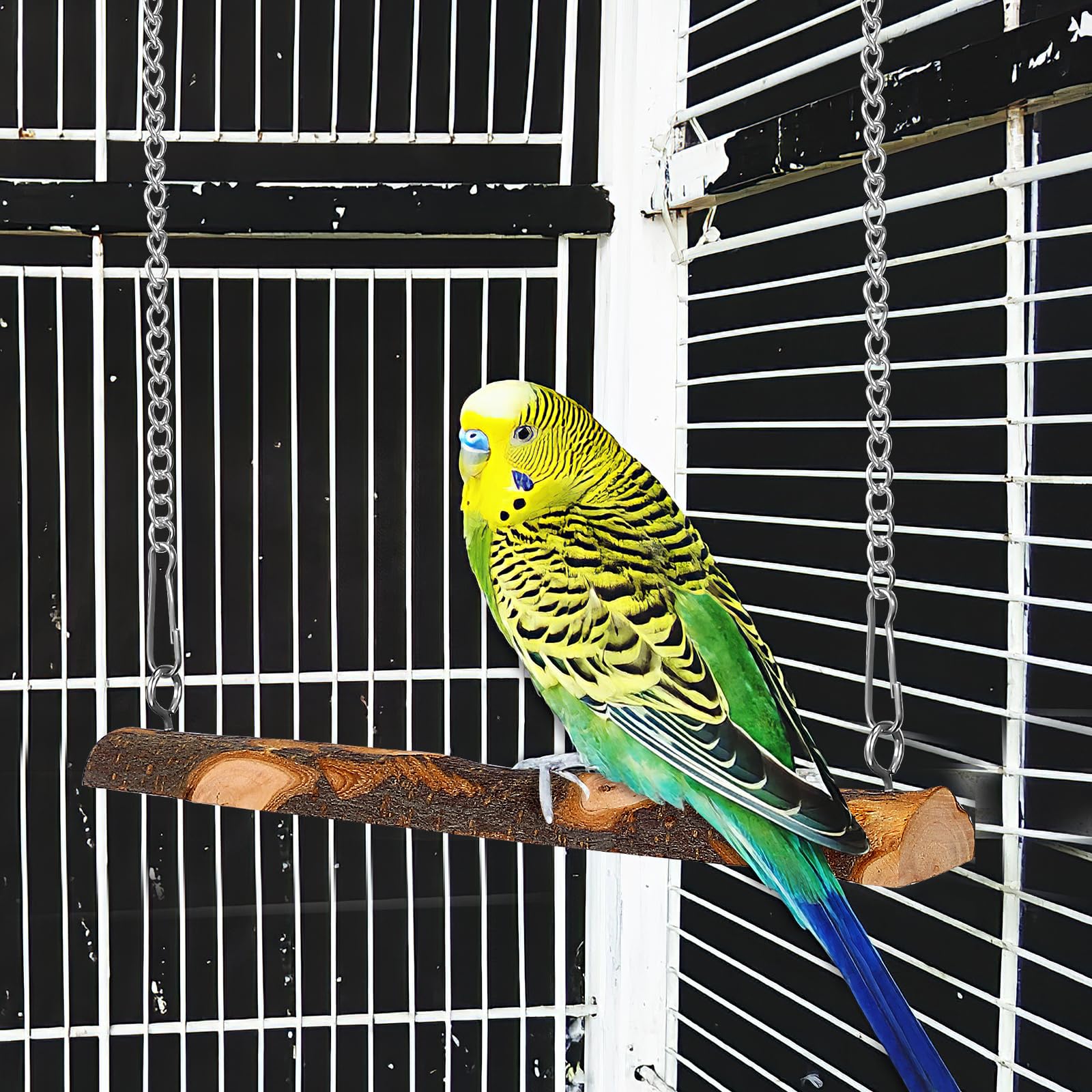View 9