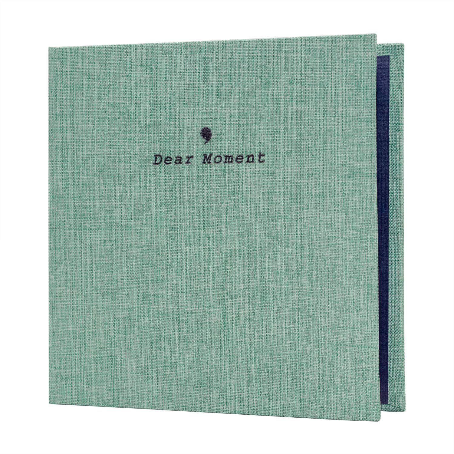 Amimy 100 Pockets Mini Film Album (64 X 90 mm) for Fujifilm Instax Mini Instant Film (54 x 86 mm) / Kodak Zink Photo Paper (53 X 86 mm) (Green)